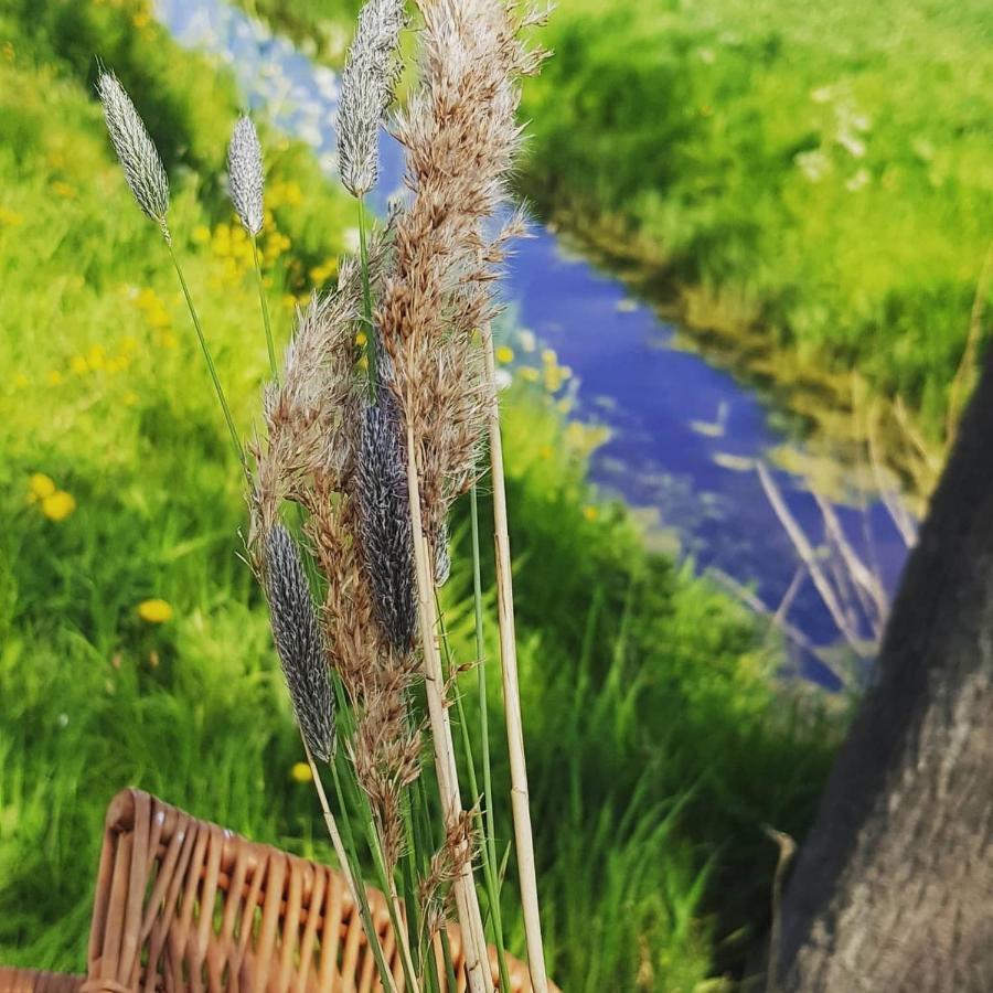 Ontbijt Bij De Boerenmeid Hoogwoud Exteriör bild
